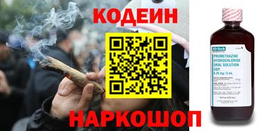 apvp Гатчина