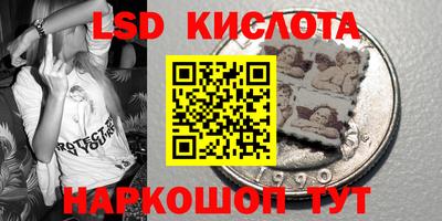 apvp Гатчина
