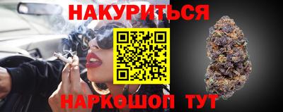 apvp Гатчина