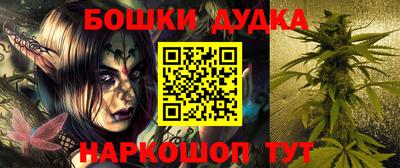 apvp Гатчина