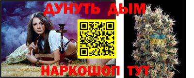 apvp Гатчина