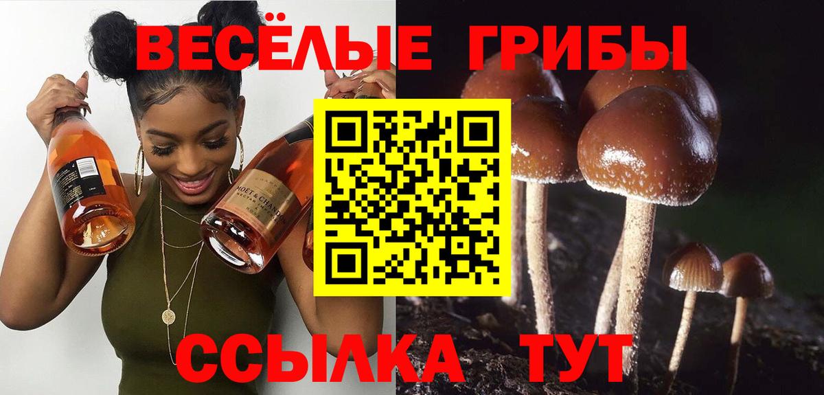 Псилоцибиновые грибы мухоморы  Псилоцибиновые грибы GOLDEN TEACHER  Вход с VPN  Нерюнгри 
